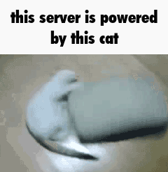 this server is powered by a cat